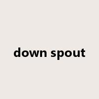 down spout是什么意思