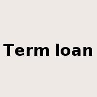 Term loan是什么意思