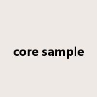 core sample是什么意思