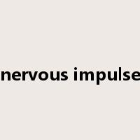 nervous impulse是什么意思