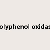 polyphenol oxidase是什么意思