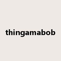 thingamabob是什么意思