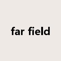 far field是什么意思