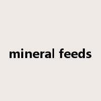 mineral feeds是什么意思