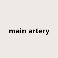 main artery是什么意思