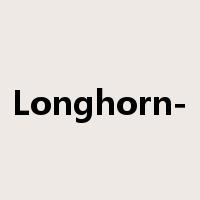 Longhorn-是什么意思