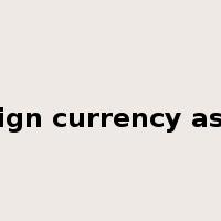foreign currency assets是什么意思
