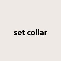 set collar是什么意思