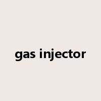 gas injector是什么意思