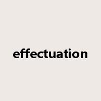 effectuation是什么意思
