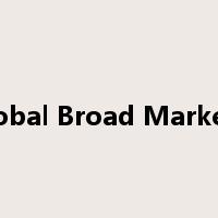 S&P Global Broad Market Index是什么意思