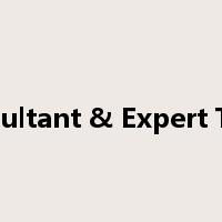 Consultant & Expert Team是什么意思