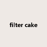 filter cake是什么意思
