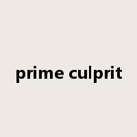 prime culprit是什么意思