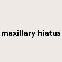 maxillary hiatus是什么意思
