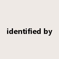 identified by是什么意思