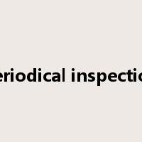 periodical inspection是什么意思