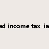 deferred income tax liabilities是什么意思