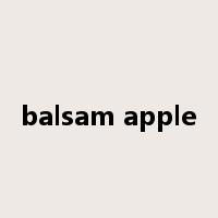 balsam apple是什么意思