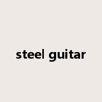 steel guitar是什么意思