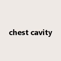 chest cavity是什么意思