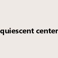 quiescent center是什么意思
