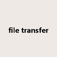 file transfer是什么意思