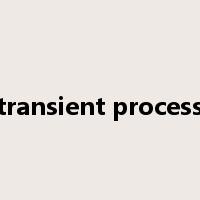 transient process是什么意思