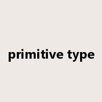 primitive type是什么意思