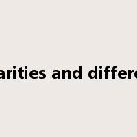 similarities and differences是什么意思