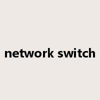 network switch是什么意思