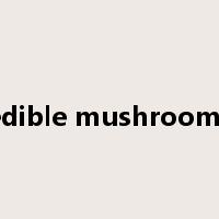 edible mushrooms是什么意思
