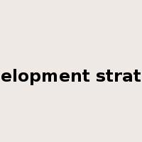 development strategy是什么意思