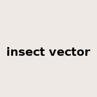insect vector是什么意思