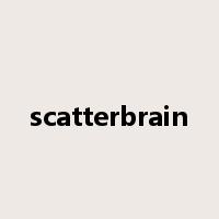 scatterbrain是什么意思