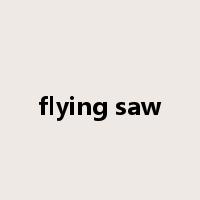 flying saw是什么意思