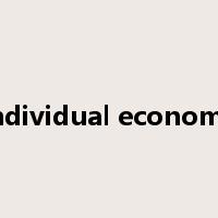 individual economy是什么意思