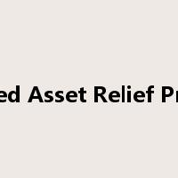Troubled Asset Relief Program是什么意思