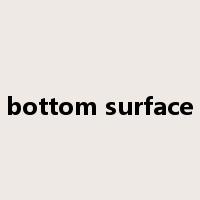 bottom surface是什么意思