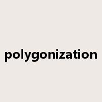 polygonization是什么意思