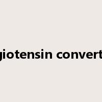 angiotensin converting是什么意思