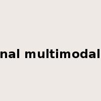 international multimodal transport是什么意思