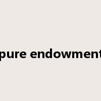 pure endowment是什么意思