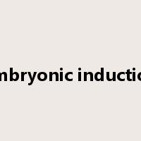 embryonic induction是什么意思