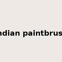 Indian paintbrush是什么意思