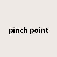 pinch point是什么意思