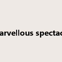 marvellous spectacle是什么意思