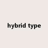 hybrid type是什么意思