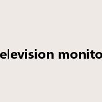 television monitor是什么意思