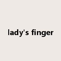 lady's finger是什么意思